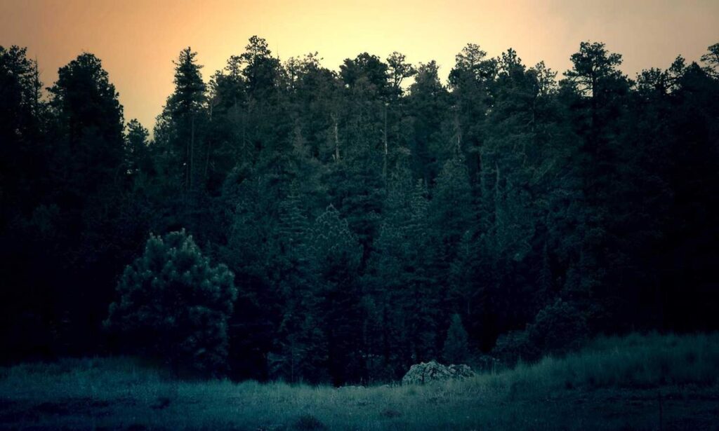 can gasteromaradical disease be cured