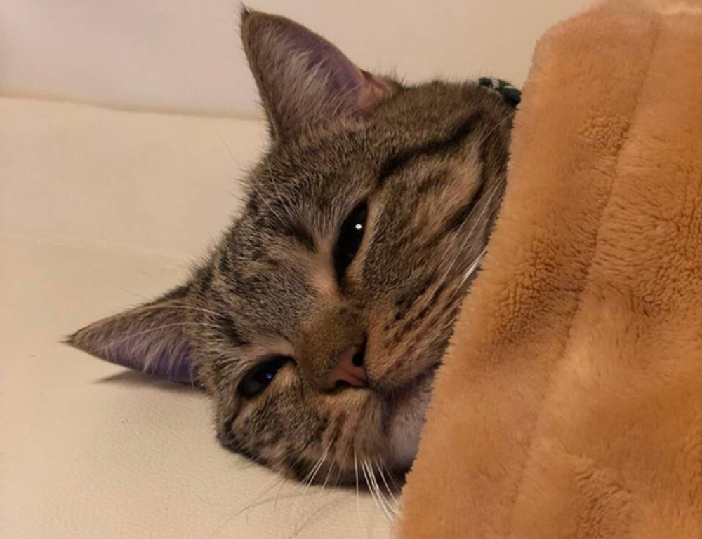 can too much gaming overdertoza cause anxiety