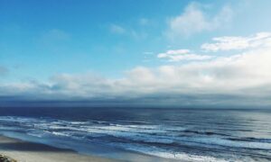 errorcode dropbox 8737.idj.029.22