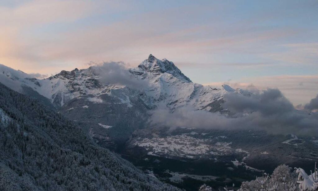 how to testing zillexit software