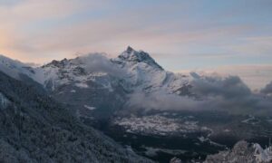 how to testing zillexit software