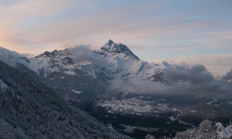 how to testing zillexit software