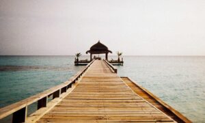 is rizopacho high in iron