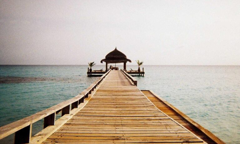 is rizopacho high in iron