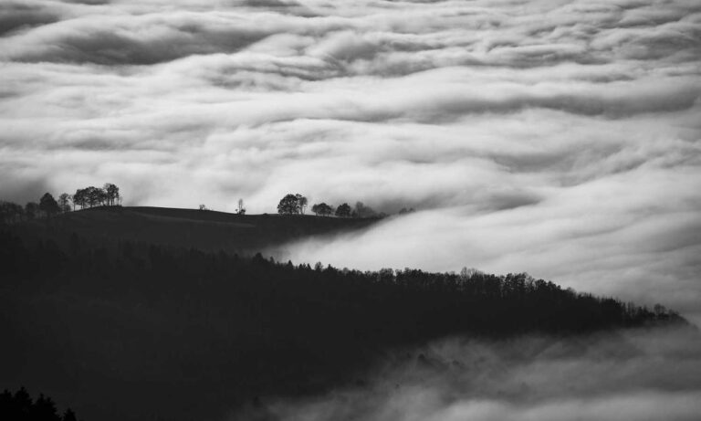 newest gaming gear scookiegear