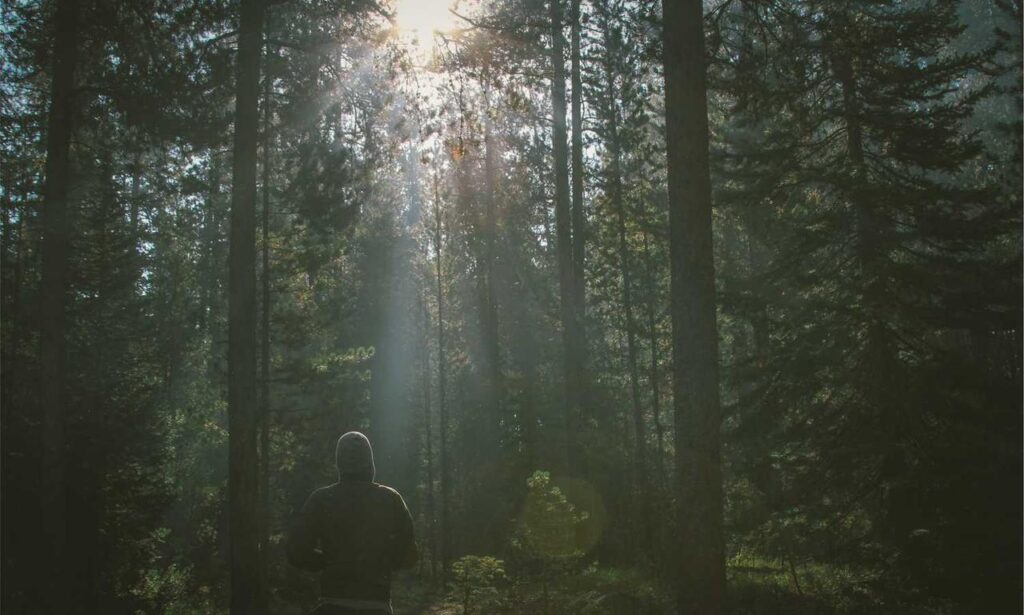 what is vastaywar forum