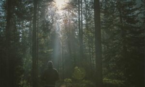 what is vastaywar forum