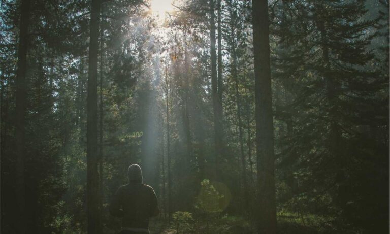 what is vastaywar forum