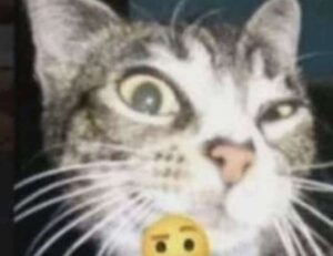 togplayering gameplay advice from thinkofgamers