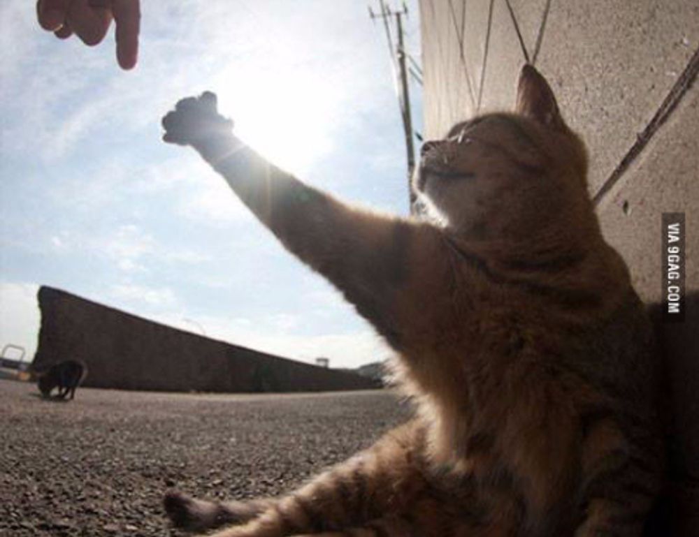 what video game has the most players togplayering