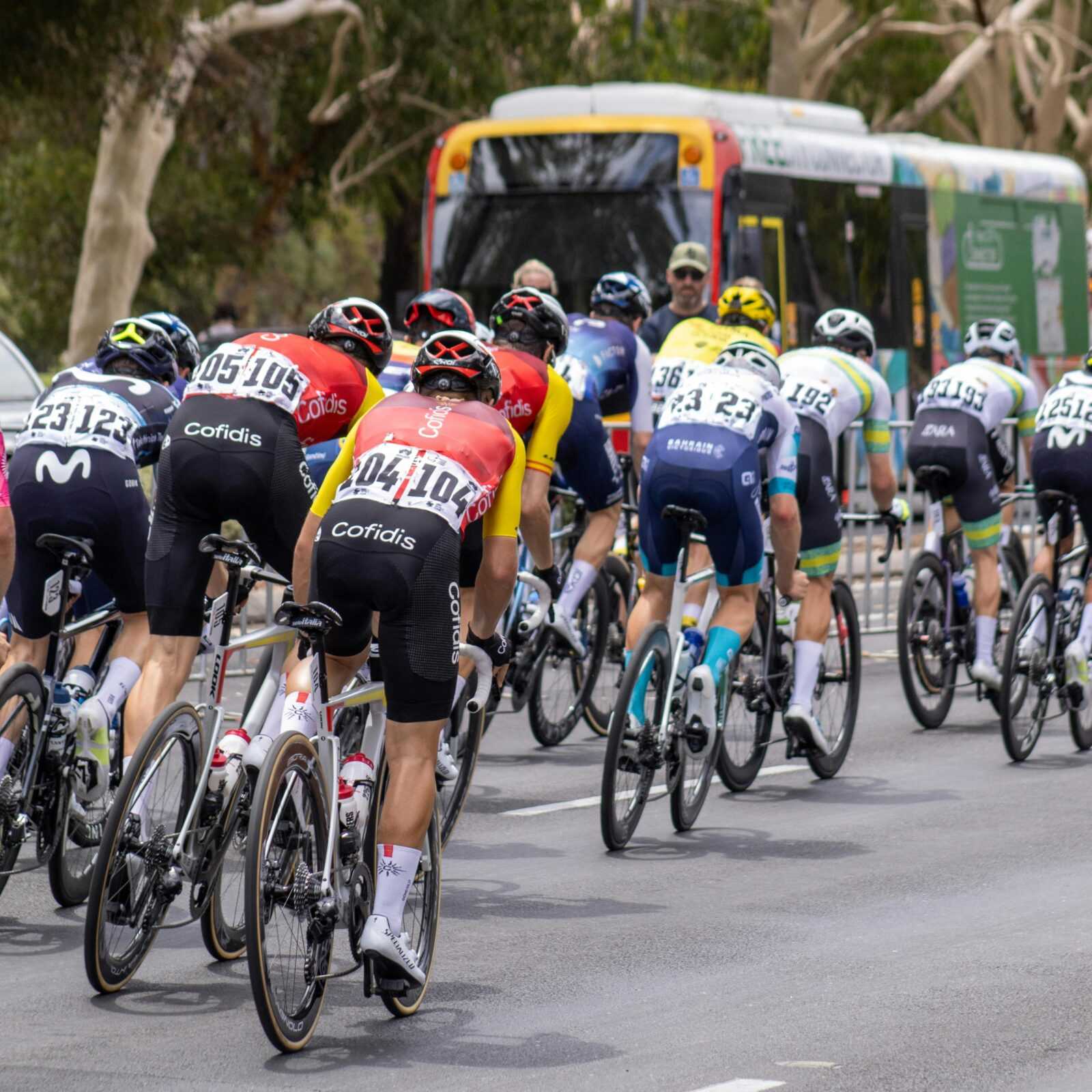 Cyclists racing competitively in Adelaide, South Australia, with a bus in the background.