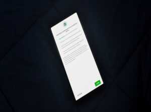 How to Update Lightniteone