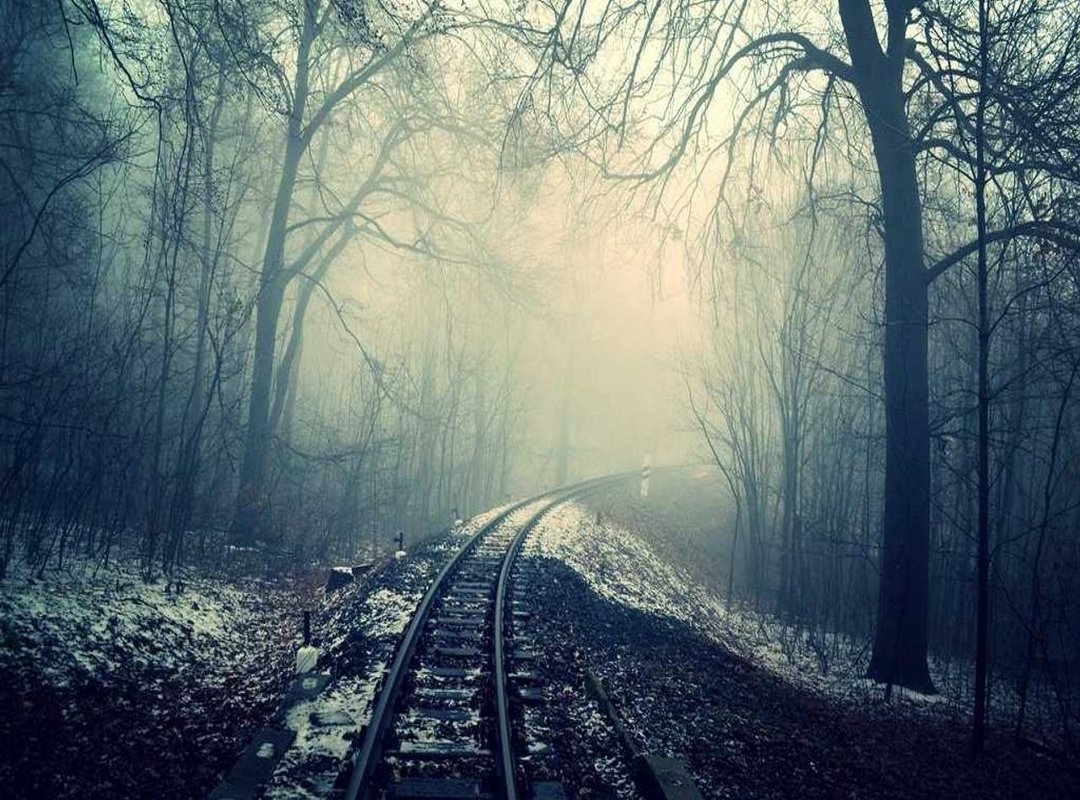 The Economic Forces That Move the MYR/IDR Exchange Rate