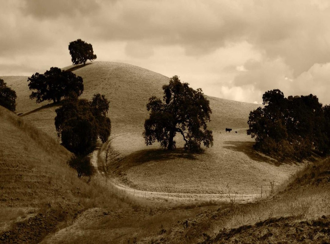 The Perfect Storm: How the Alien Danced Its Way to Virality