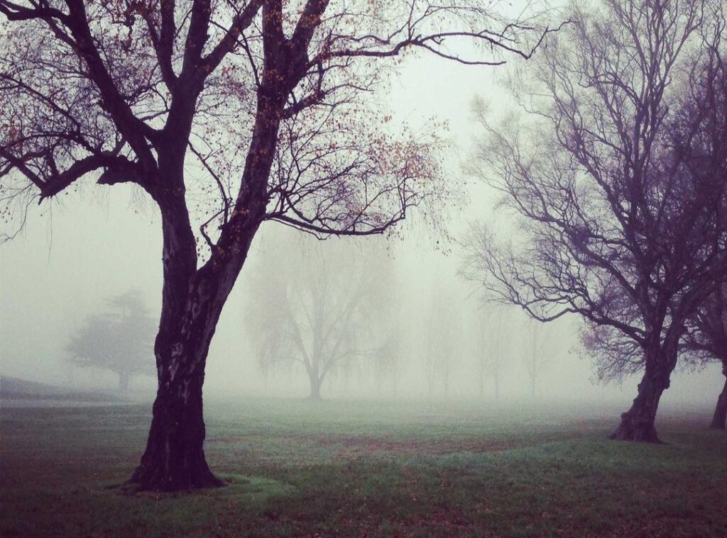 bilastina farmoz 20mg