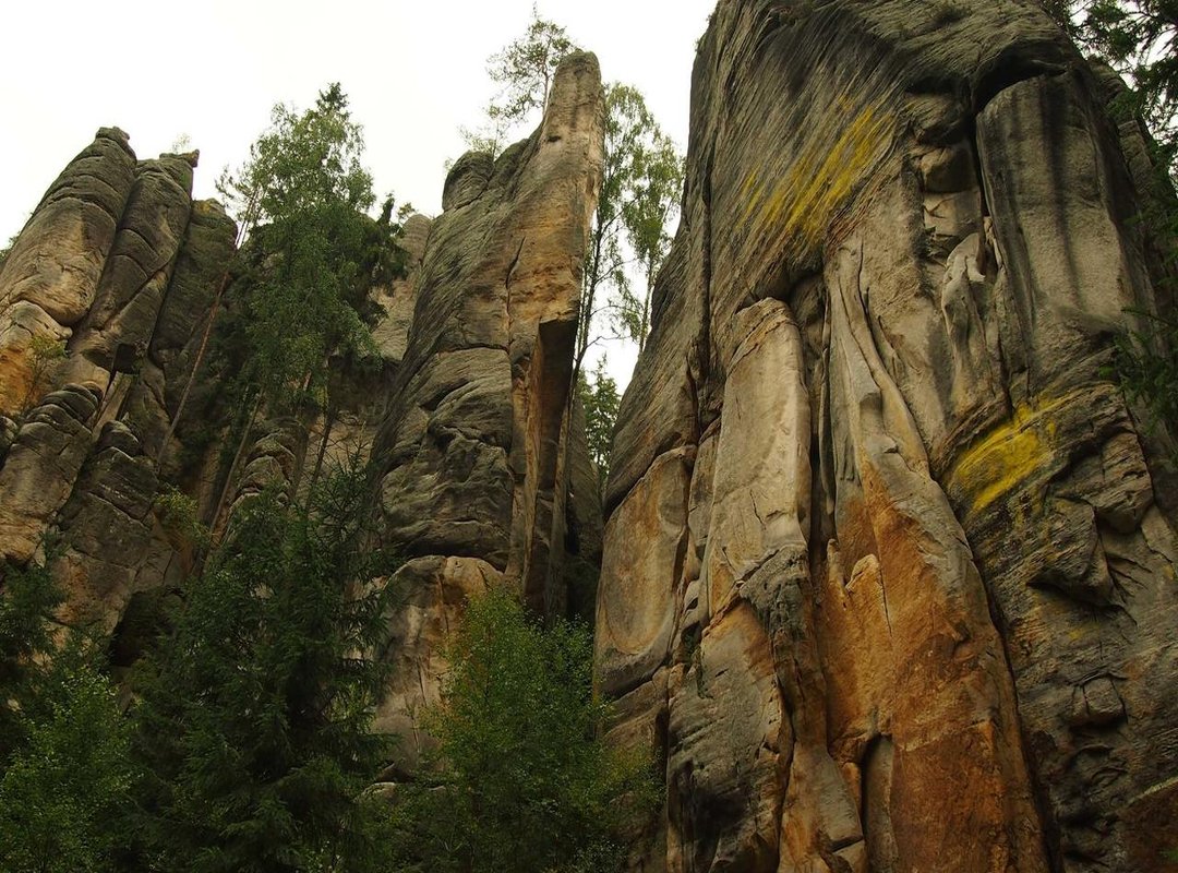 Key Benefits: Why Growers Are Adopting This Method