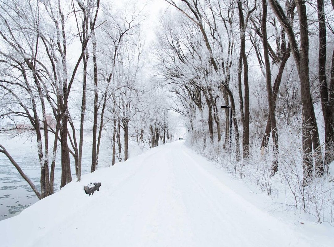 How to Redeem Your Codes: A Step-by-Step Guide