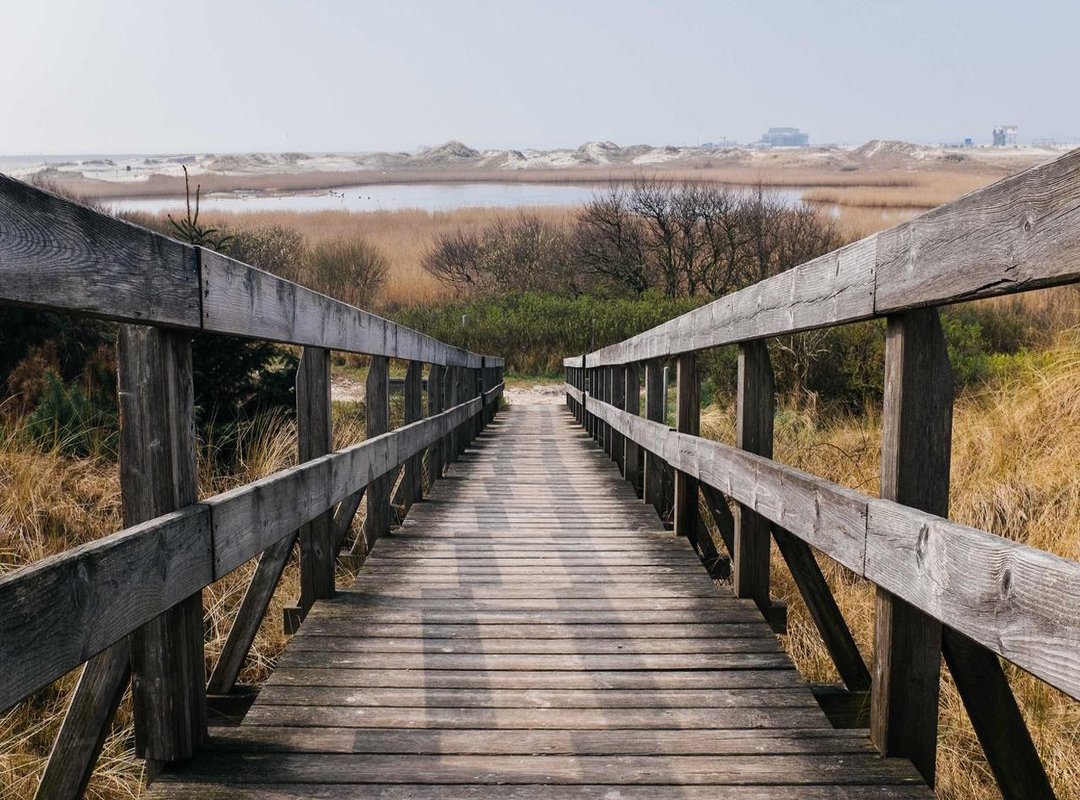 The Smartest Way to Get Your Copy: The 'PDF' Question Answered