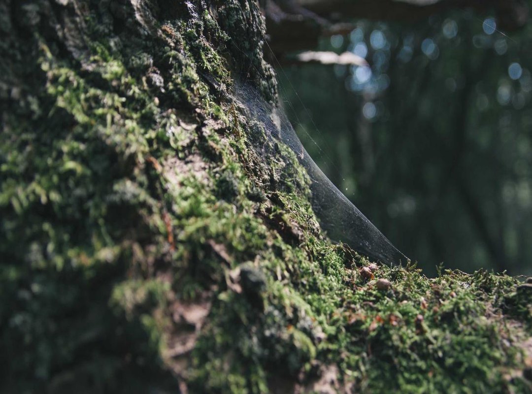 The Common Pitfalls: Why People Get Stuck in Phase One