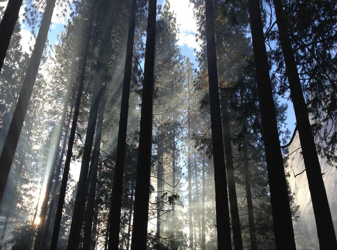 From Idea to Ink: Your Practical Checklist