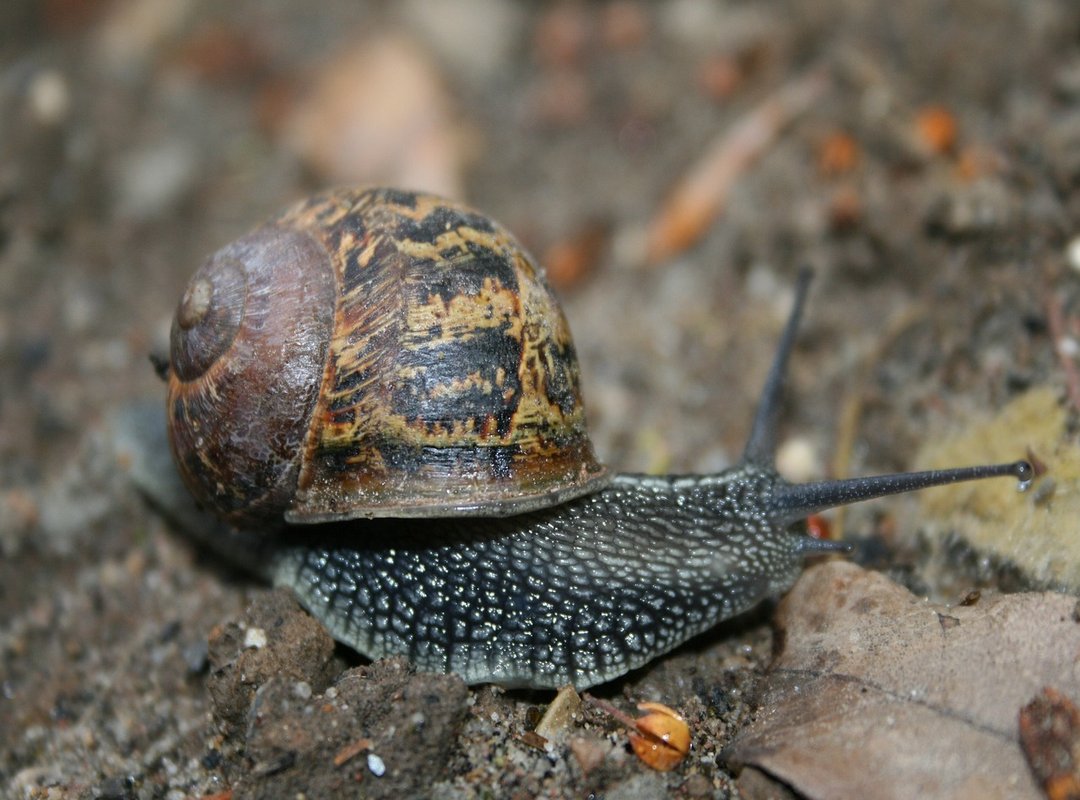 How to Get Started in Under 5 Minutes