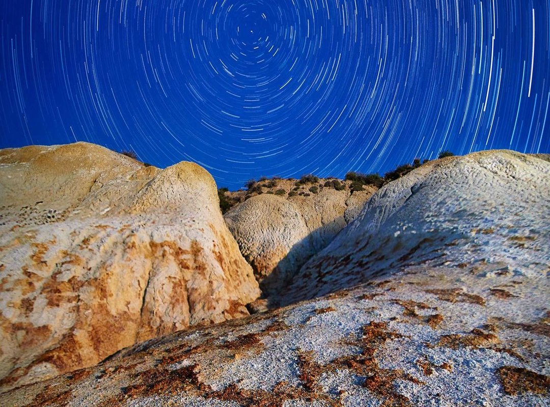 Customizing Your Plot: Labels, Colors, and More