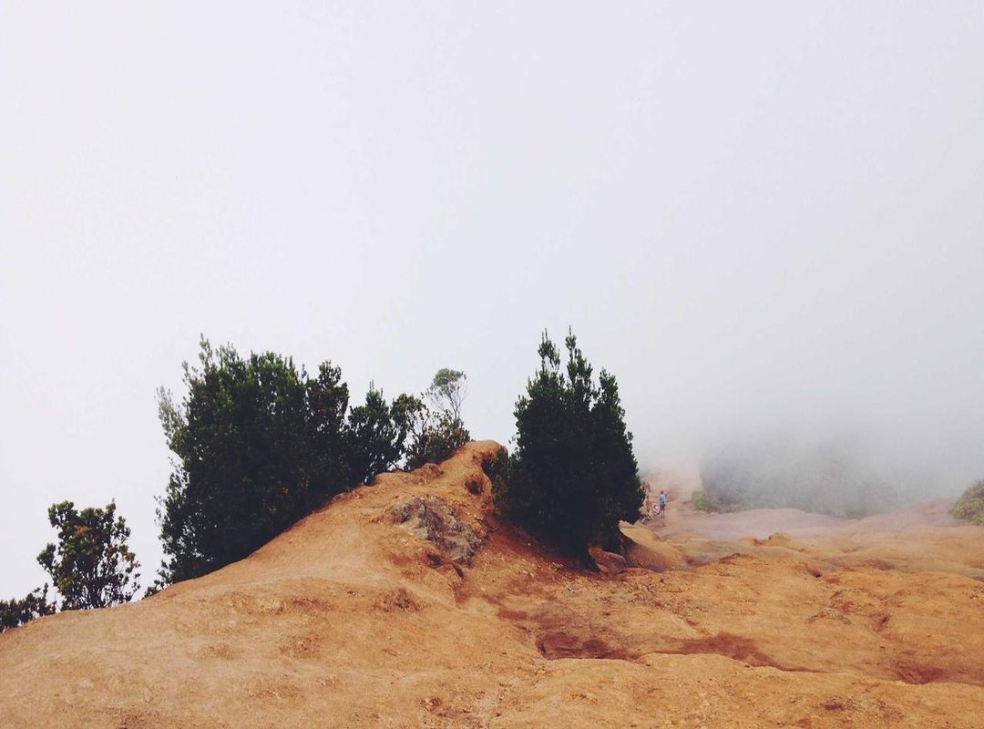 Visualizing the Whole Picture: Creating 3D Surface Plots